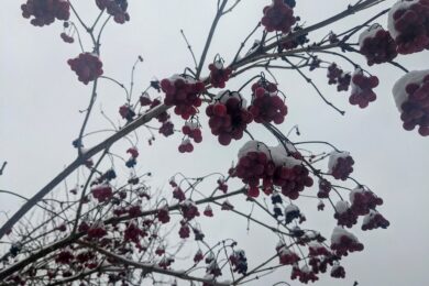 16 лютого – яке сьогодні свято, прикмети і традиції, пам’ятні дати, іменини