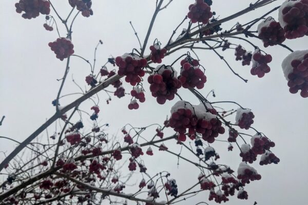 16 лютого – яке сьогодні свято, прикмети і традиції, пам’ятні дати, іменини