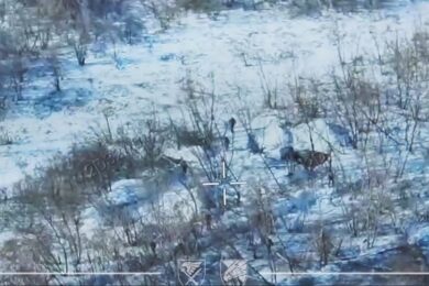 Українські військові біля Покровська врятувалися від полону завдяки дрону (відео)