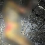 Впав у вогонь і згорів живцем: під час спалювання сухої рослинності на Київщині загинув чоловік (фото)