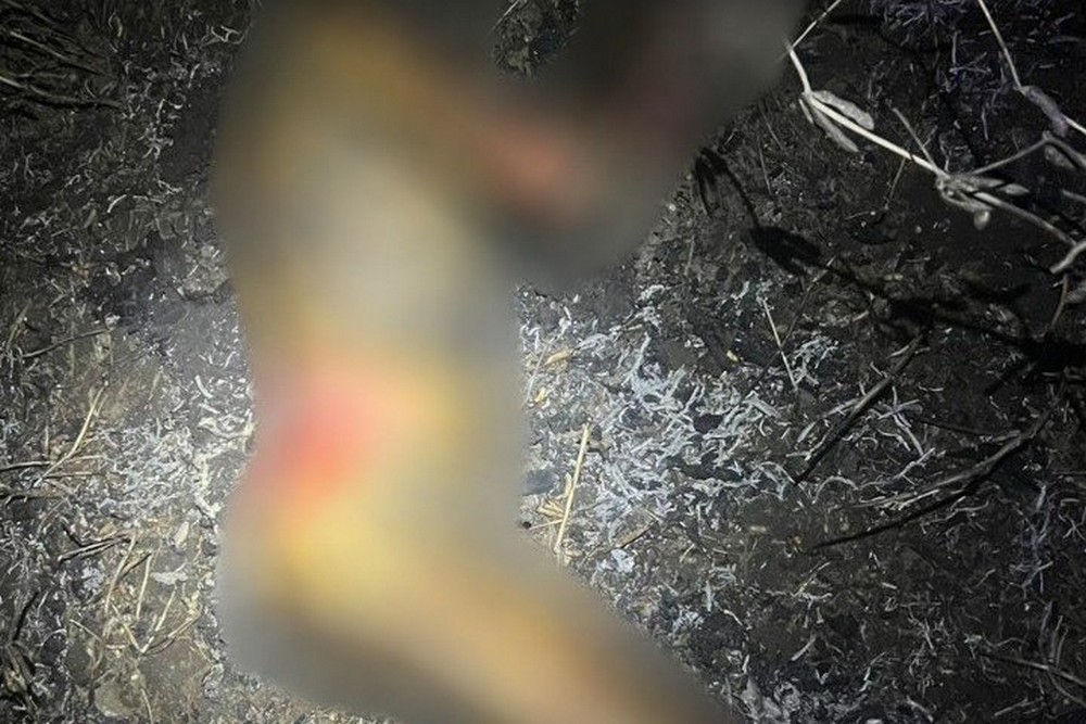 Впав у вогонь і згорів живцем: під час спалювання сухої рослинності на Київщині загинув чоловік (фото) 1 Впав у вогонь і згорів живцем: під час спалювання сухої рослинності на Київщині загинув чоловік (фото)