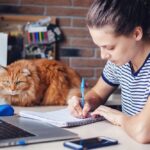 Нові правила обліку школярів: чи штрафуватимуть батьків за пропуски занять у школах