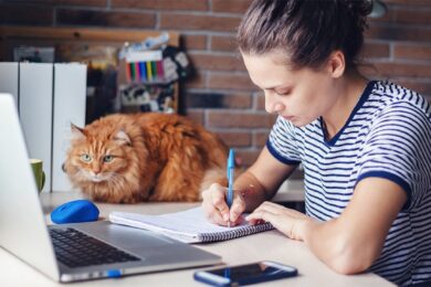 Нові правила обліку школярів: чи штрафуватимуть батьків за пропуски занять у школах