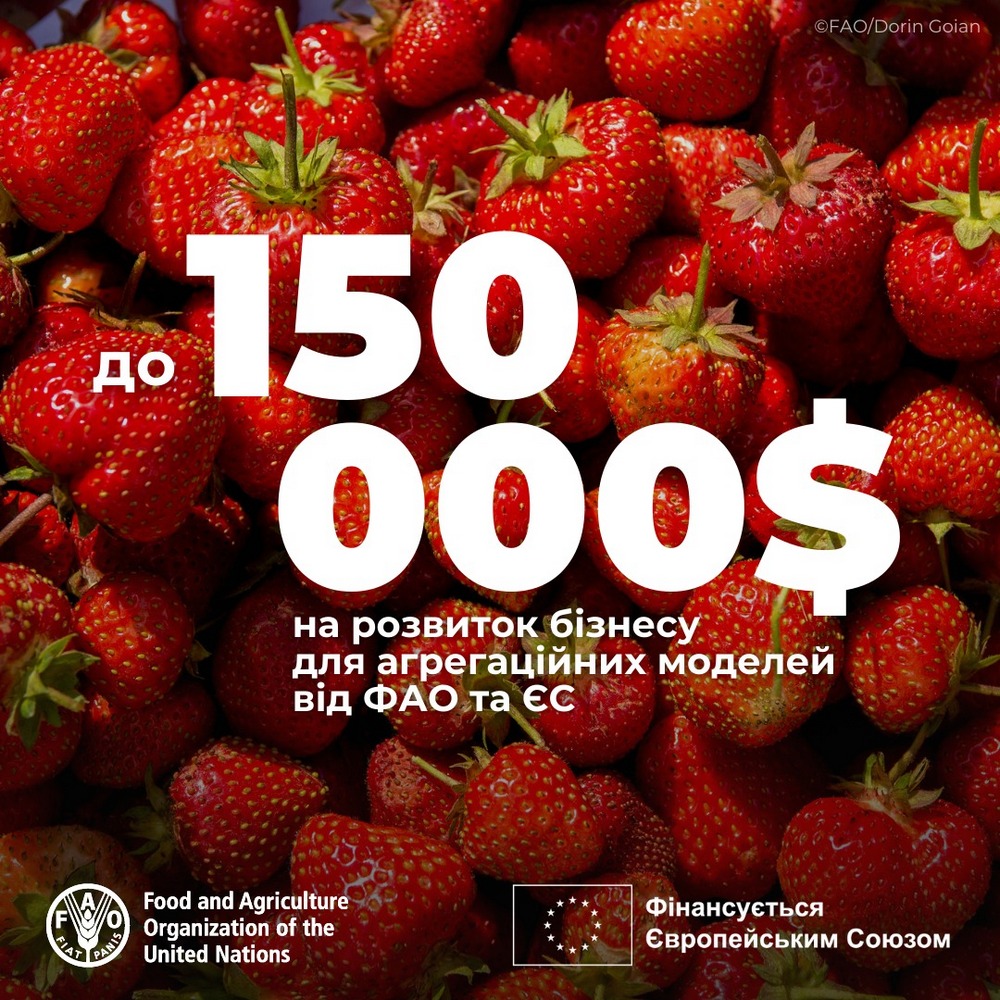 Грошова допомога до 150 000 доларів для аграріїв – відкрито реєстрацію