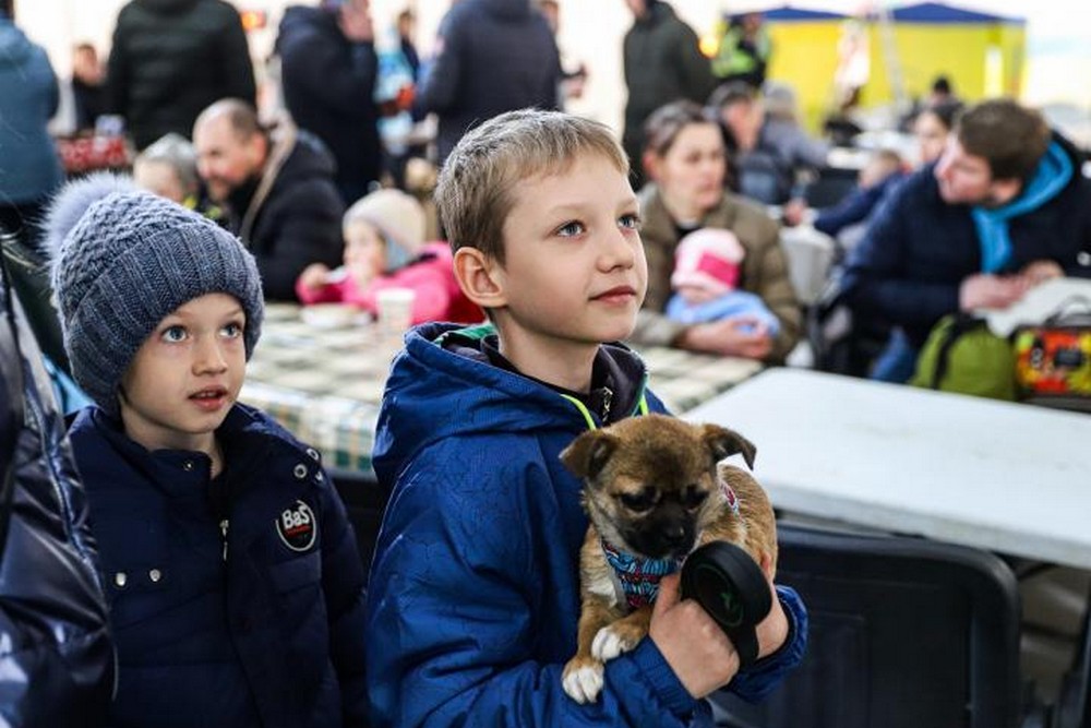 Виплати ВПО: що саме змінилося з 18 березня – детальне роз’яснення юристів