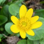 якою буде погода в Україні 3