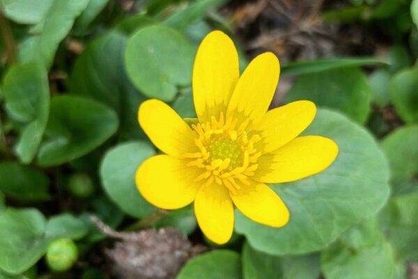 якою буде погода в Україні 3