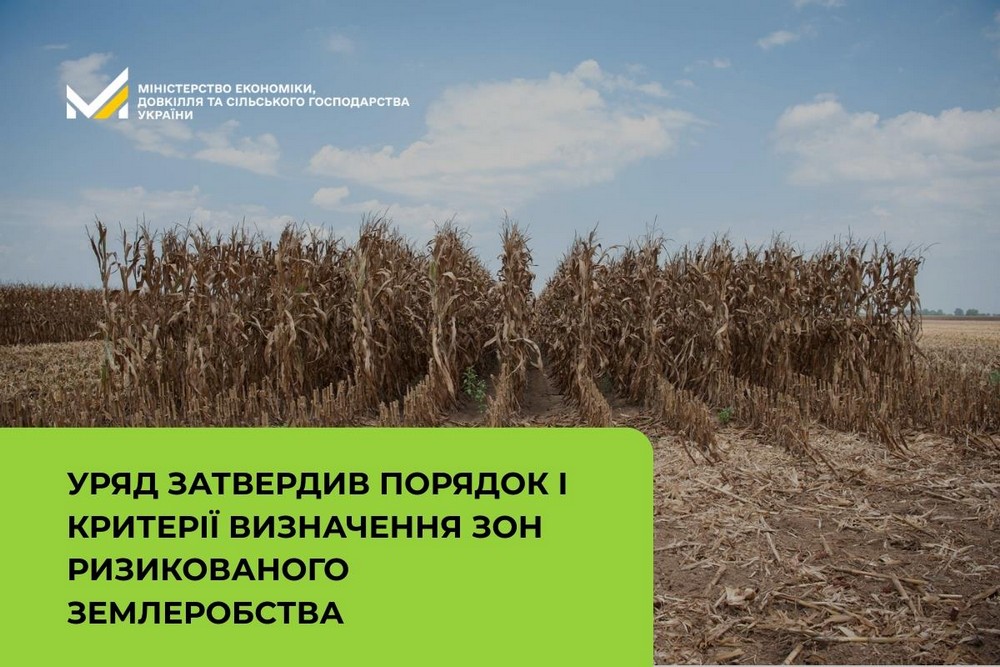 Підтримка агровиробиків, які працюють у несприятливих умовах – Кабмін затвердив постанову