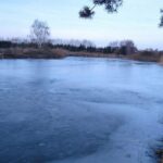 Тіла двох маленьких дітей знайшли у ставку: трагедія на Черкащині