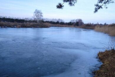 Тіла двох маленьких дітей знайшли у ставку: трагедія на Черкащині