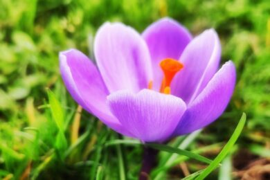 3 березня – яке сьогодні свято, прикмети і традиції, пам’ятні дати, іменини