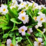 2 березня  – яке сьогодні свято, прикмети і традиції, пам’ятні дати, іменини