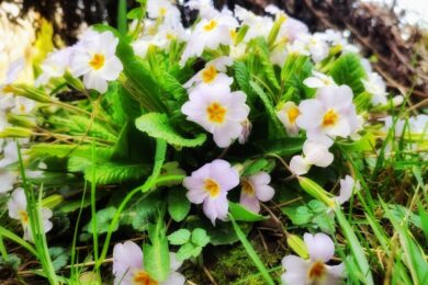 2 березня – яке сьогодні свято, прикмети і традиції, пам’ятні дати, іменини