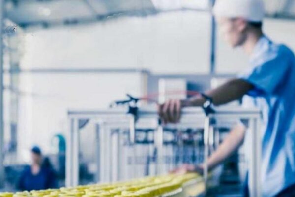 Відсьогодні стартують заявки на гранти для розвитку та відновлення переробних підприємств у 2026 році