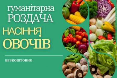 Безкоштовне насіння для постраждалих від війни громад – як отримати 27 Безкоштовне насіння для постраждалих від