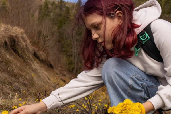 Безкоштовний табір у Карпатах для дітей та підлітків з шести областей – хто може взяти участь