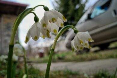 Потішить теплом до +15: якою буде погода в Україні 8 березня