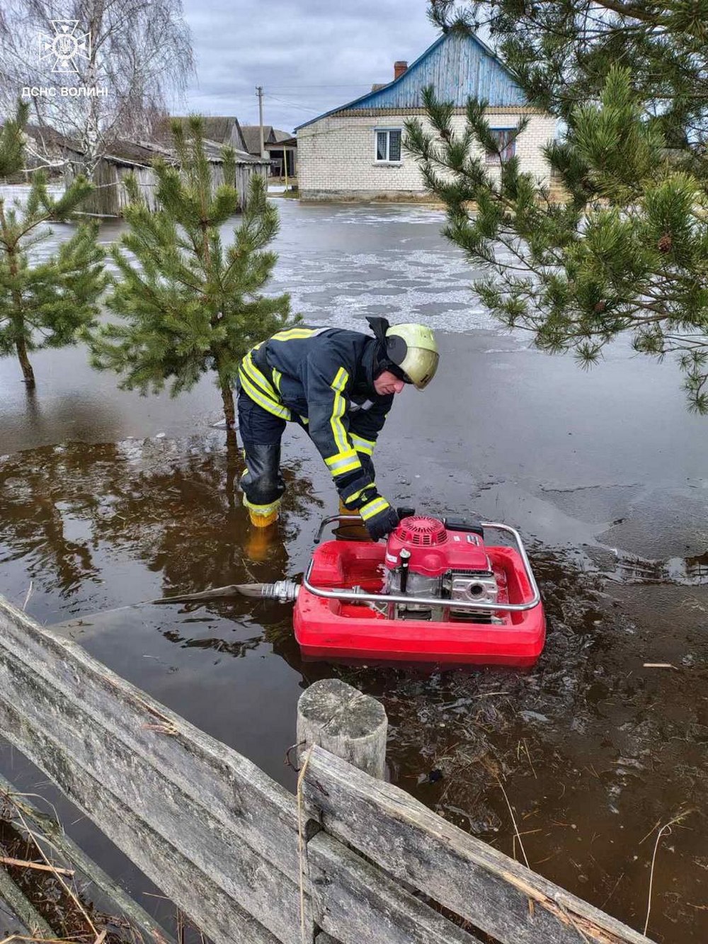 photo 2026 03 04 17 38 20 (4)