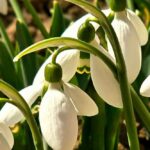 погода в Україні