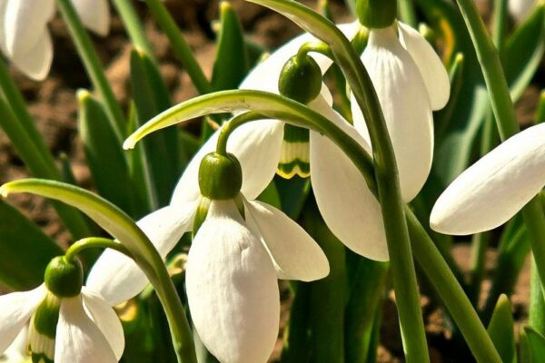 погода в Україні