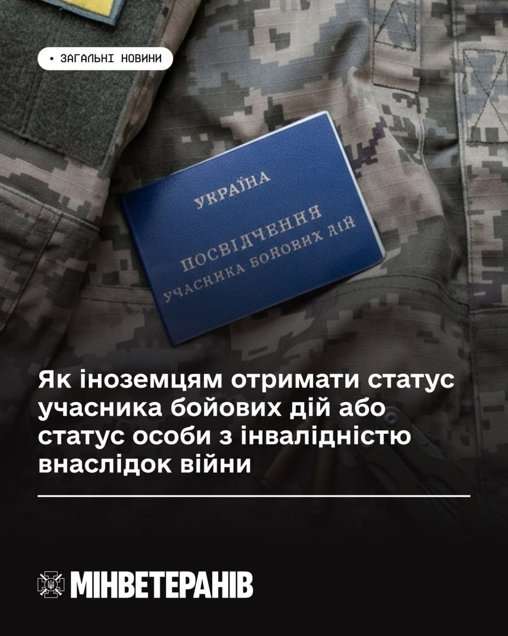 Статус УБД або особи з інвалідністю для іноземців – як отримати