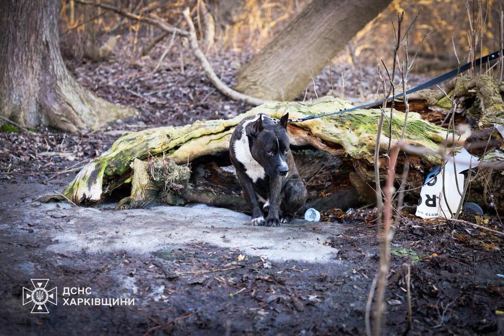 photo 2026 03 12 18 05 04 (6)