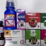 Відкрита реєстрація на отримання ліків для ВПО у Дніпрі – як подати заявку