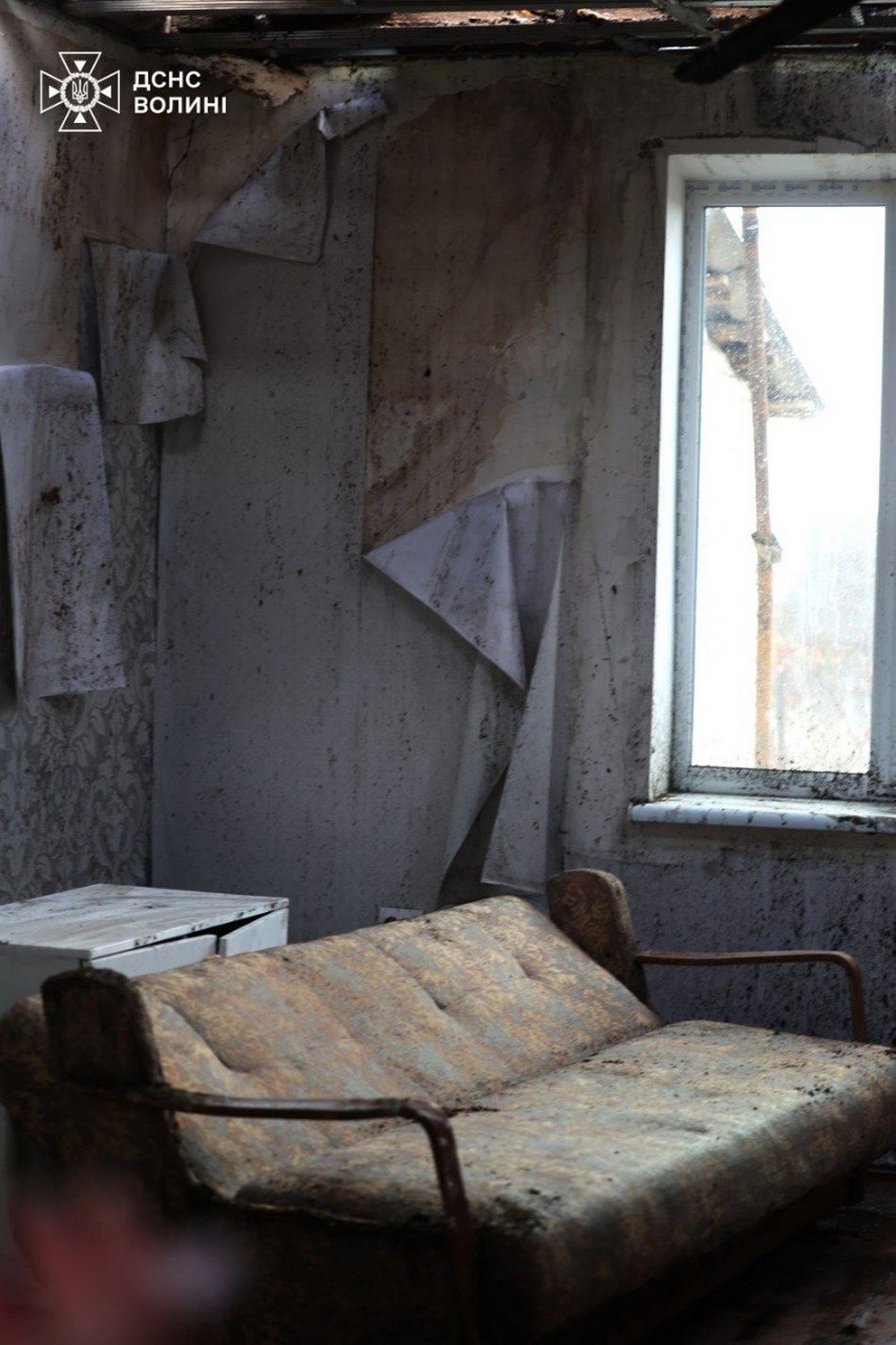 photo 2026 03 23 09 29 41 (2)