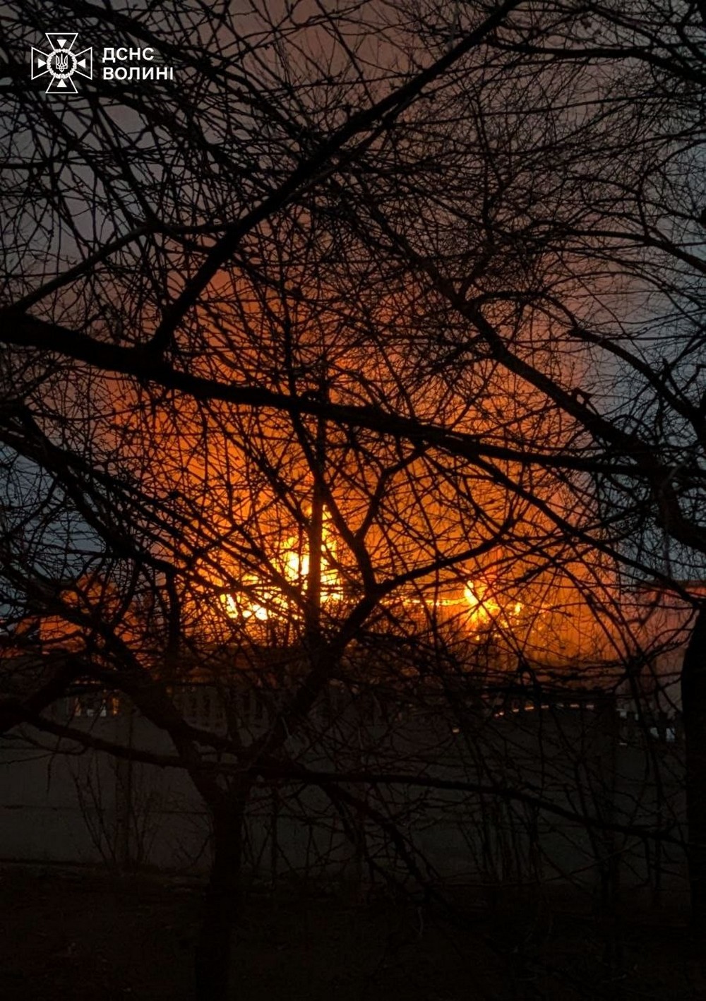 У будинку було багато дітей, стеля вже горіла над головою… Не пройшла повз і врятувала від вогню не одне життя