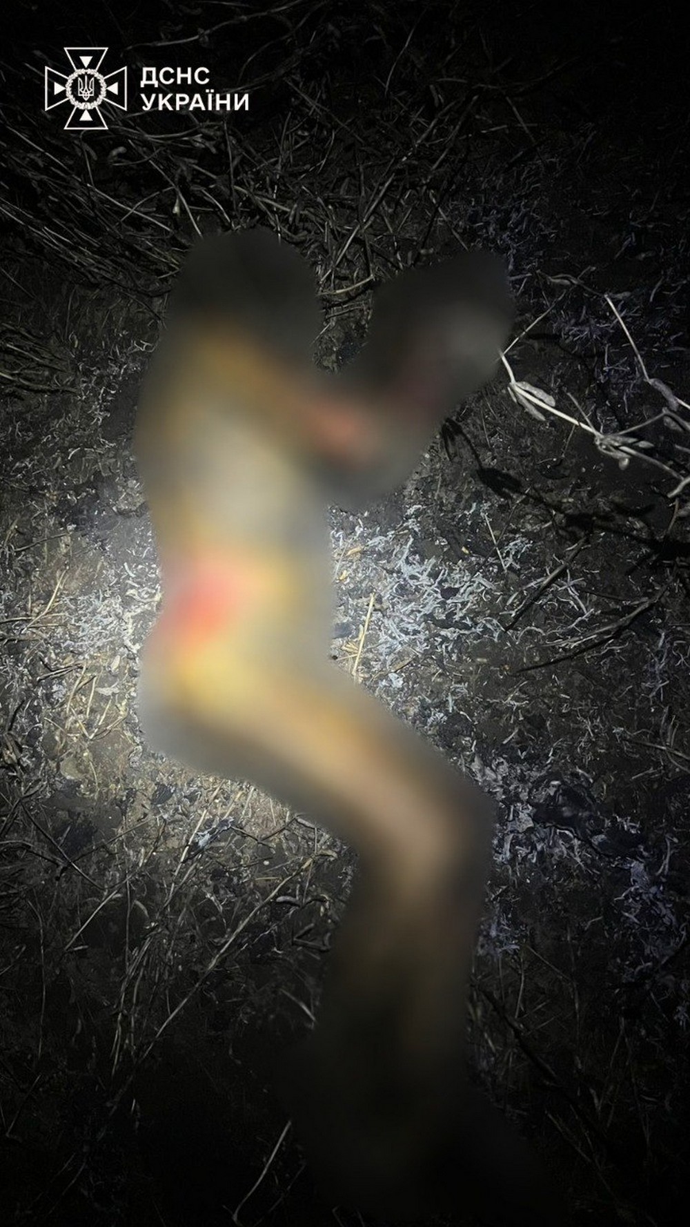 Впав у вогонь і згорів живцем: під час спалювання сухої рослинності на Київщині загинув чоловік (фото)
