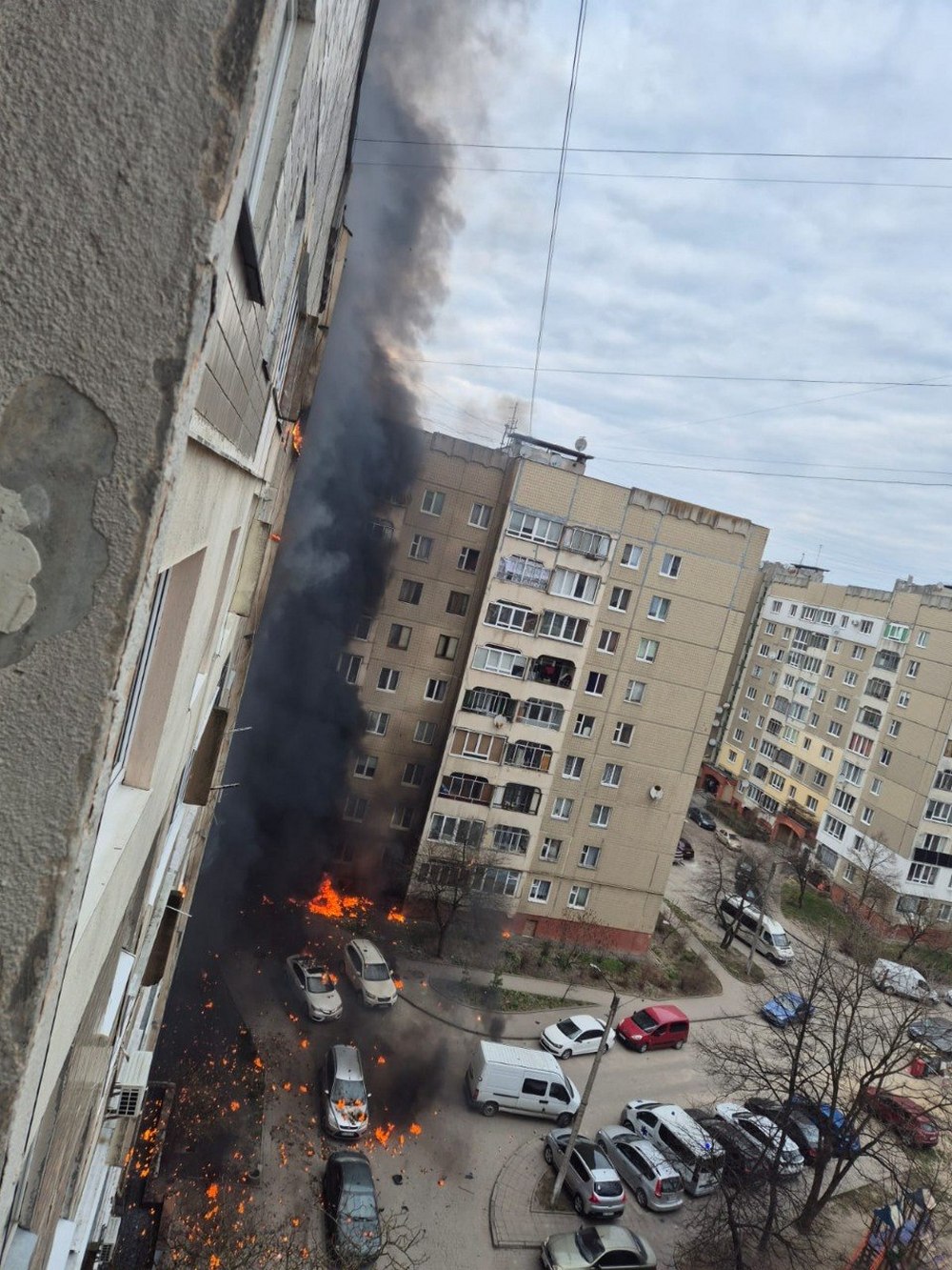 photo 2026 03 24 19 50 46 (3)