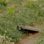 Обережно! «Шахеди» несуть контейнери з