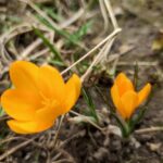 погода в Україні 1 квітня