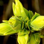 Погода в Україні