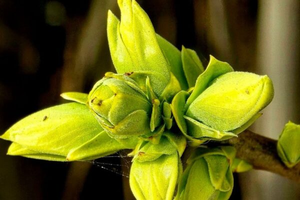 Погода в Україні