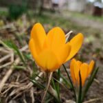 погода в Україні 15 березня 3