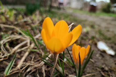 Попередили про небезпечні метеорологічні явища: якою буде погода в Україні 15 березня