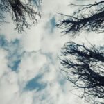 погода в Україні 27 березня 3