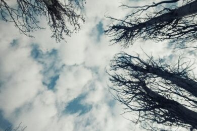 Дощ, туман і мінлива хмарність: якою буде погода в Україні 27 березня