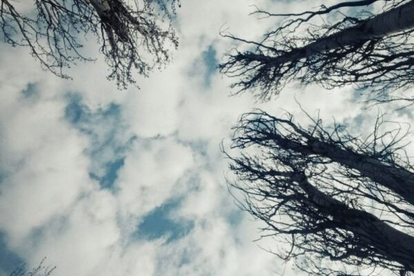 погода в Україні 27 березня 3