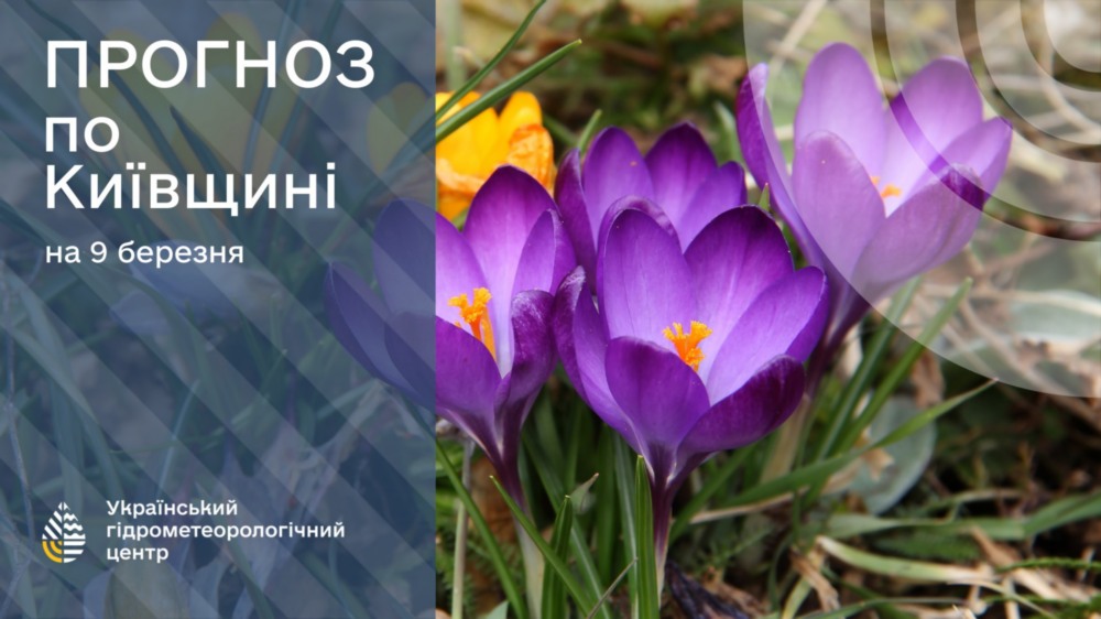 Погода в Україні