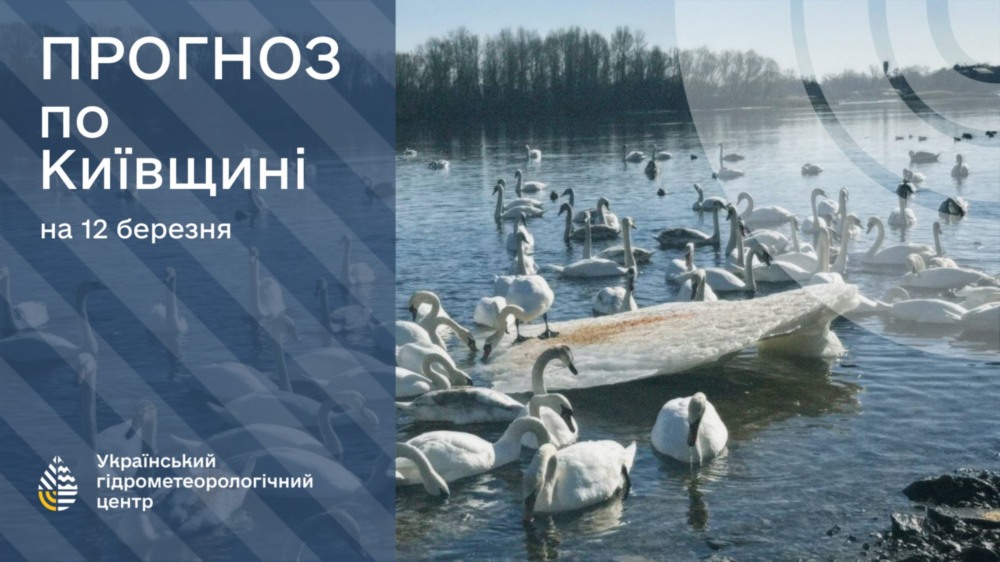 погода в Україні