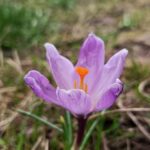 Погода в Україні 3