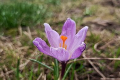 Очікуються невеликі дощі: якою буде погода в Україні 26 березня