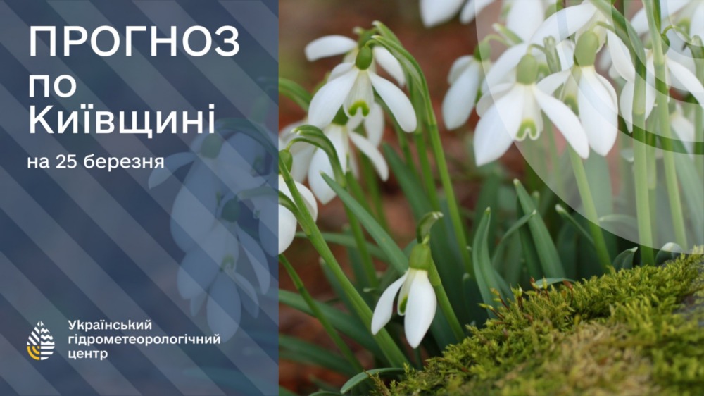 Погода в Україні 2