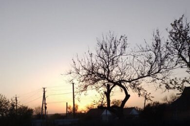 До 15 градусів тепла: якою буде погода в Україні 4 березня