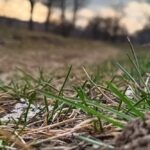 погода в Україні 3