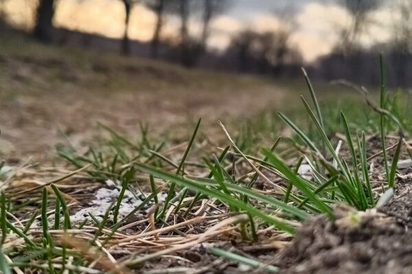 погода в Україні 3