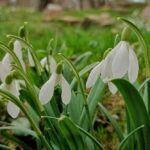 Погода в Україні 3