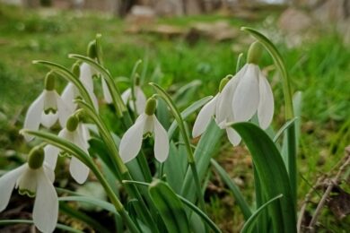 Хмарно і опади: якою буде погода в Україні 19 березня